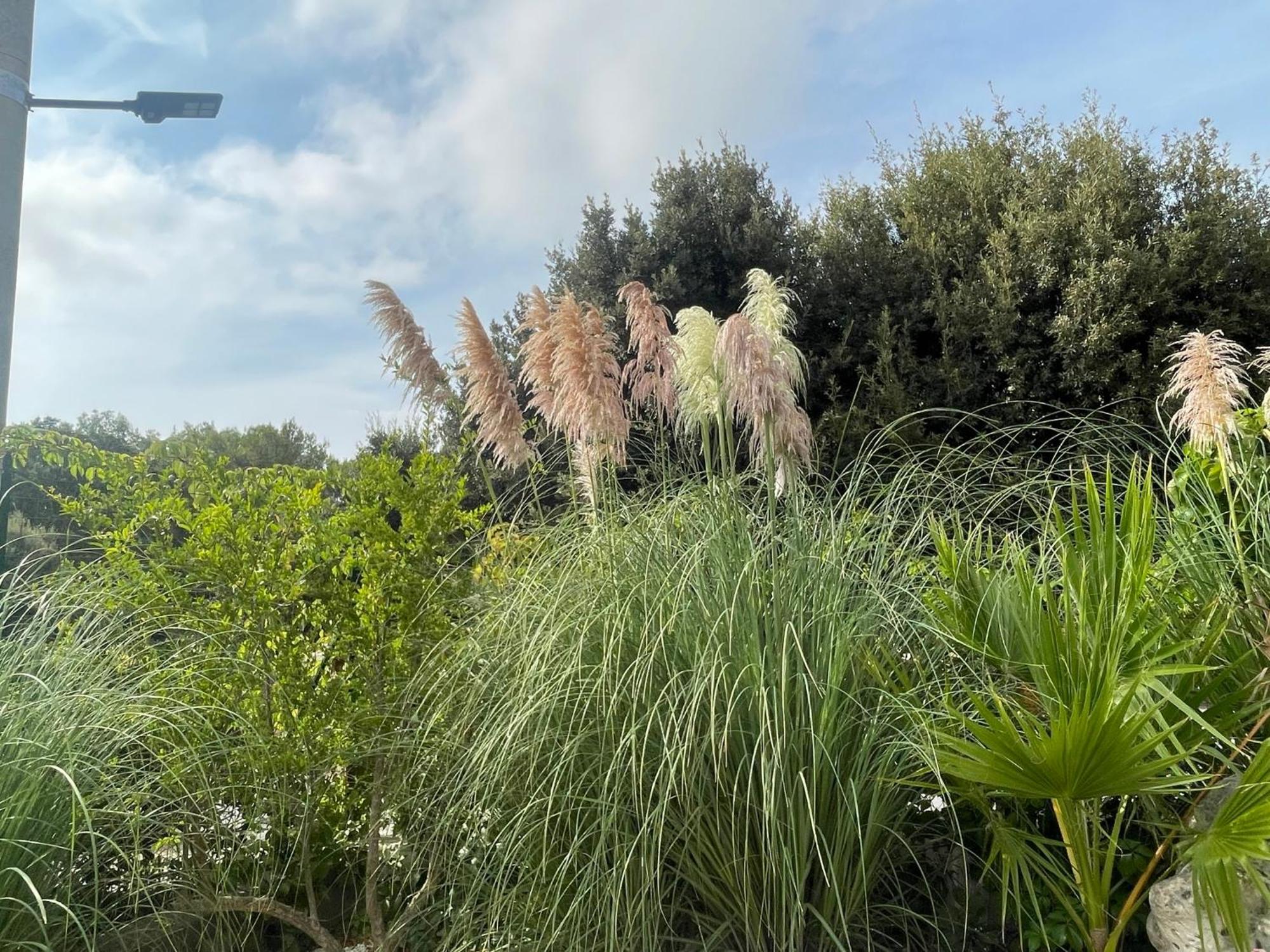 Villa Romina Selva Di Fasano Dış mekan fotoğraf